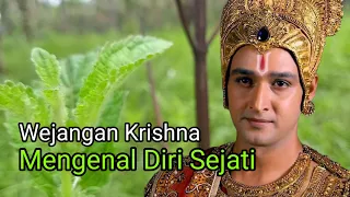 krishnas advice knowing your true self