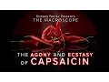 Download Lagu The Agony and Ecstasy of Capsaicin MP3