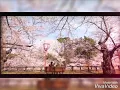Download Lagu diakah jodohku ~ the virgin