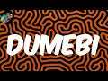 Dumebi (Lyrics) - Rema