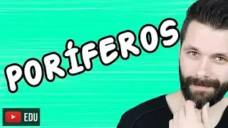 PORÍFEROS - REINO ANIMALIA - ZOOLOGIA - Aula | Biologia com Samuel Cunha