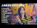Download Lagu Dinda Teratu - JARAN GOYANG - GARA GARA SEBOTOL || FULL ALBUM DANGDUT
