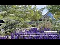 RHS Hyde Hall Traditional Cottage Garden June August 2026