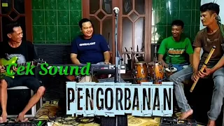 Download Cek Sound Pengorbanan-Mansyur S MP3