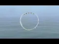 Novo Amor - Passage (Visualiser)