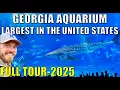 Georgia Aquarium in Atlanta - The Complete First-Timer s Guide with Tips and Must-See Exhibits 2025