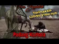 Download Lagu Tangisan dan duka | Padang Karbala || Syair Cinta 04