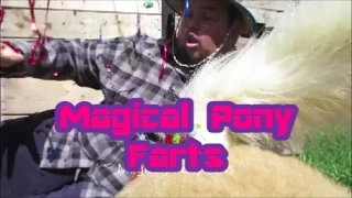 magical pony farts