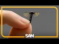 Download Lagu China unveils mosquito-sized microdrone for battlefield reconnaissance