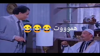 يعني الدنيا هتحلو وهناكل سوشي في الجو    قولتلك أهه أحلفلك بالطلاق   دندنها