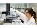 Shoeleh - Waterloo Graduate Studies Profile