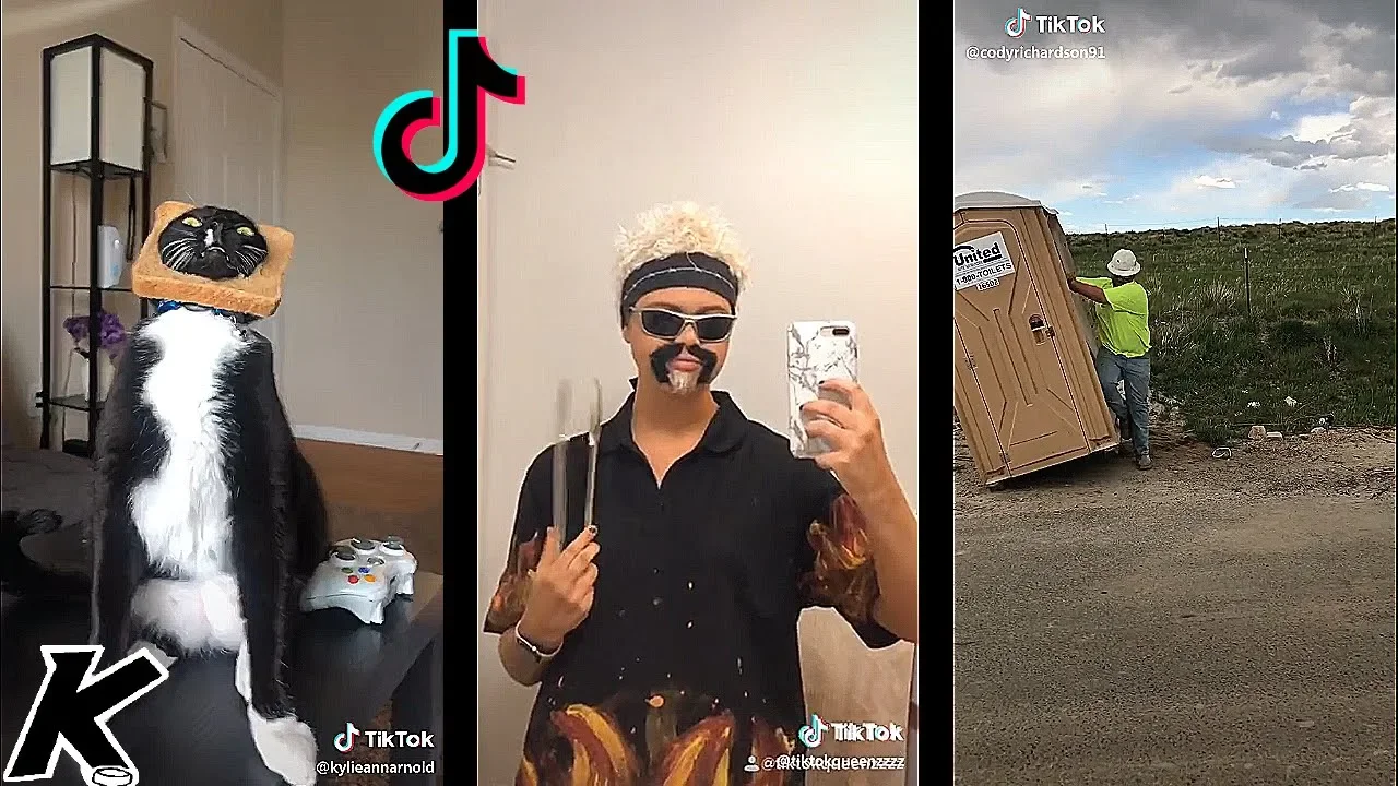 TikTok memes to watch instead of going to bed