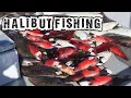 CATCHING HALIBUT AT CATALINA ISLAND ON THE PRIDE SPORTFISHING
