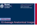SPM Tutorial 15 - Average Anatomical Images