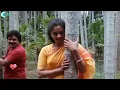 Download Lagu Unnai Pontra Pennai Kannaal Paarthathillai | Kaathal Enbathu Un | WhatsApp Status | Prabu | Nathiya