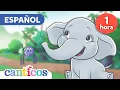 Download Lagu 1 Hour of Canticos Best Songs | Pollitos Dicen Pio, Un Elefante, Pin Pon 🌈Canciones Infantiles  MIX