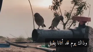 أمس مضى واليوم ذا سيرحل  دندنها