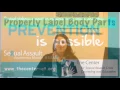 Properly Label Body Parts