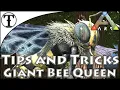Fast Giant Bee Queen Taming Guide Ark Survival Evolved Tips and Tricks