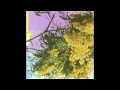 Four Tet -  Into Dust (Still Falling) Vinyl Side B