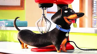 los momentos m s divertidos de las pel culas de la vida secreta de las mascotas 4k