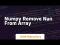 numpy remove nan from array