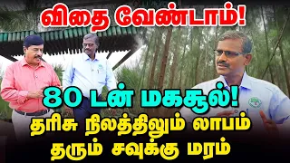 3 வருடத்தில் ஏக்கருக்கு ₹4 லட்சம் லாபம்! | சவுக்கு மரம் வளர்த்து பணம் சம்பாதிப்பது எப்படி?