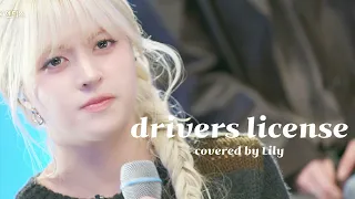 drivers license nmixx lily olivia rodrigo