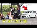 Download Lagu GEMBEL SULTAN DIJEMPUT ISTRI PAKE ALPHARD !! EH Orang2 Pada Kaget wkwk