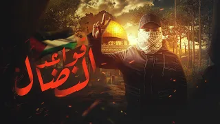 قواعد النضال   فارس حميدة                                                  دندنها