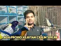 Download Lagu KEJUTAN PROMO AWAL BULAN CILILIN 500.RB