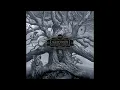 Mastodon - Teardrinker