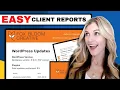 Manage Multiple WordPress Websites Automate Client Reports ALL-IN-ONE Tool