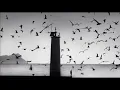 The Cinematic Orchestra   Arrival of The Birds & Transformation