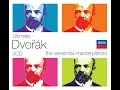 Dvořák: Cello Concerto in B minor, Op. 104: 1. Allegro