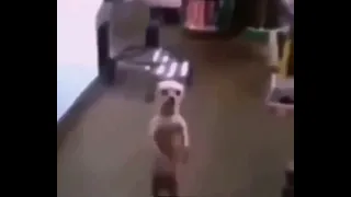 لك عيني لك حباب بدون حقوق دندنها