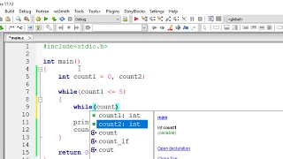 Nested While Loop C Program