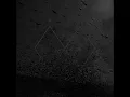 Mt. Wolf - Swarm (Official Audio)