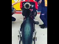 Motogp race bike sounds