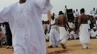 دار جعل حفله محمد حيدر 