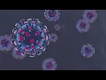 UCHealth announces new protocol for workers showing symptoms