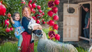 Rural Life In Morocco Harvest And Sale Of Pomegranates Wooden Door For Clay House 