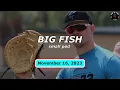 Did the Marlins Protect the Right Prospects Big Fish Small Pod