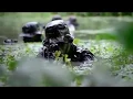 Download Lagu TNI: Lebih Baik Pulang Nama Daripada Gagal Di Medan Juang