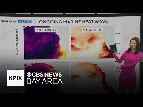 Marine heat wave making California coastal waters warmer than usual