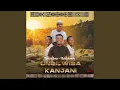 Lagu Ungilwisa kanjani (Remix)