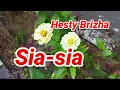 Download Lagu Sia-sia Hesty Brizha Saat Langkah Kaki Lelah Lelah Melangkah Sedang Hati Ingin Lari