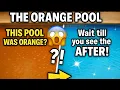 We Turned This ORANGE Sewage Pool Into Crystal Clear Water in 48 Hours Pool Rescue Series
