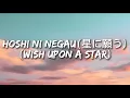Download Lagu Hoshi ni Negau (星に願う) — A Heartfelt Song Under the Stars | Japanese × English Original