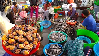 Download Ever seen Cambodian fish market Largest fish distribution site in Phnom Penh, PrekPhnov fish market MP3